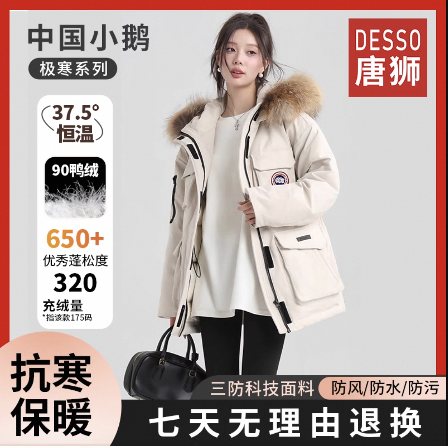 唐狮Desso中国大鹅情