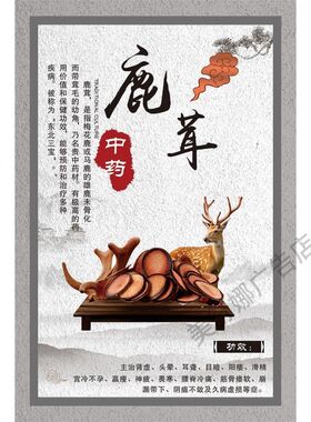 中药材介绍 天麻  高丽参 鹿茸 藏红花海报墙贴墙纸宣传画挂图