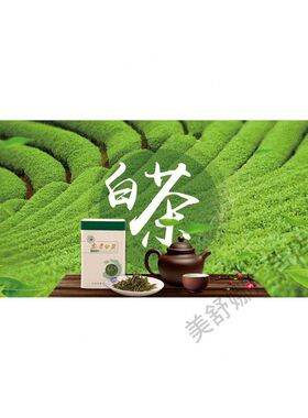 福鼎白茶海报展板福鼎老白茶白茶福鼎白茶的传说福鼎白茶简介墙贴