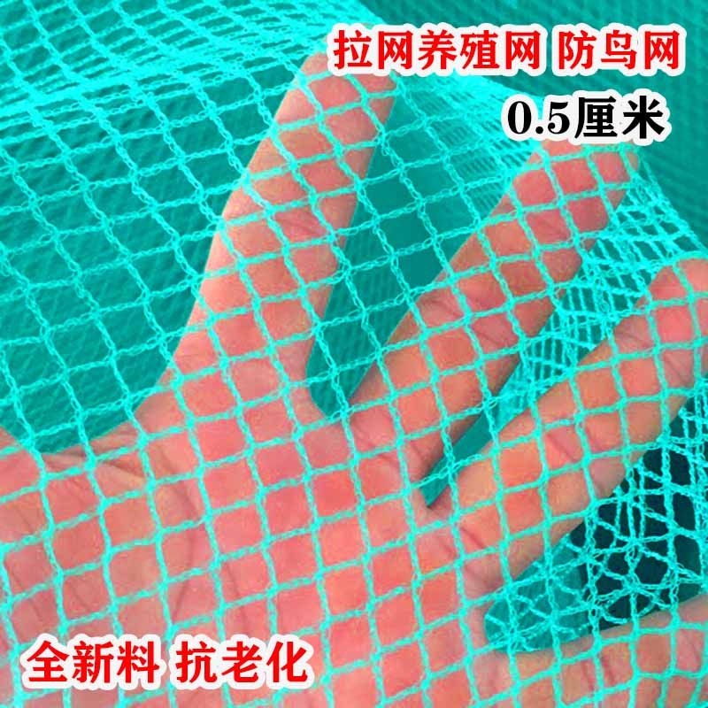 果园果树防鸟网种植专用鱼塘养殖网尼龙网罩养鸡围栏防护网格绳网,淘宝优惠券,粉丝福利购,淘宝优惠卷