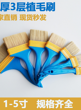 油漆刷塑料毛刷不掉毛刷子软毛植毛刷清洁扫灰刷涂料胶水刷毛刷子