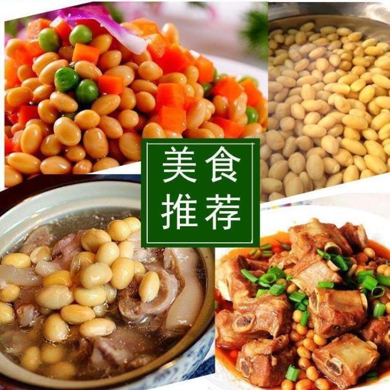 2023年椭圆形大黄豆250g/5斤农家自种老品种土黄豆大粒打豆浆豆腐