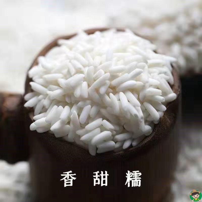东北长粒糯米包邮长粒糯米糯米酒端午节粽子酿酒优质糯米农家自种