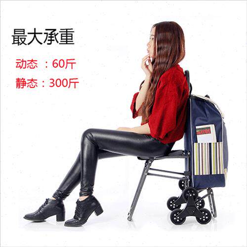 极速爬楼购物车老人可坐买菜车带凳子座椅小拉车手拉车折叠拉杆小 - 图2
