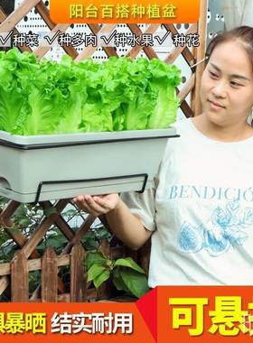 花盆塑料阳台种菜盆箱大种菜神器长式方形挂长条花盆槽家用北欧号