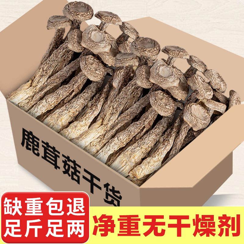 New arrivals of velvet antler mushrooms, dried velvet antler mushrooms, unsulfurized fresh velvet antler mushrooms, wholesale