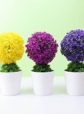 仿真植物盆栽草球盆景小树家居装饰花摆件创意迷你小圆球樱雪球