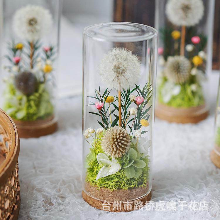 毕业礼物蒲公英永生花送朋友diy手工干花伴手礼生日礼品,淘宝优惠券,粉丝福利购,淘宝优惠卷