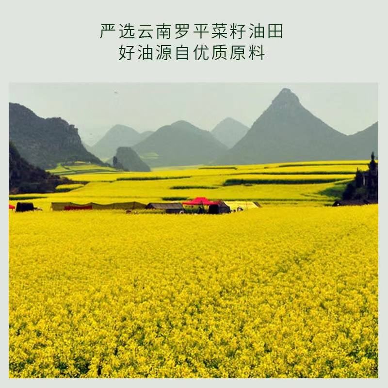 云南罗平纯香菜籽油非转基因物理压榨菜油家用食用油炒菜油