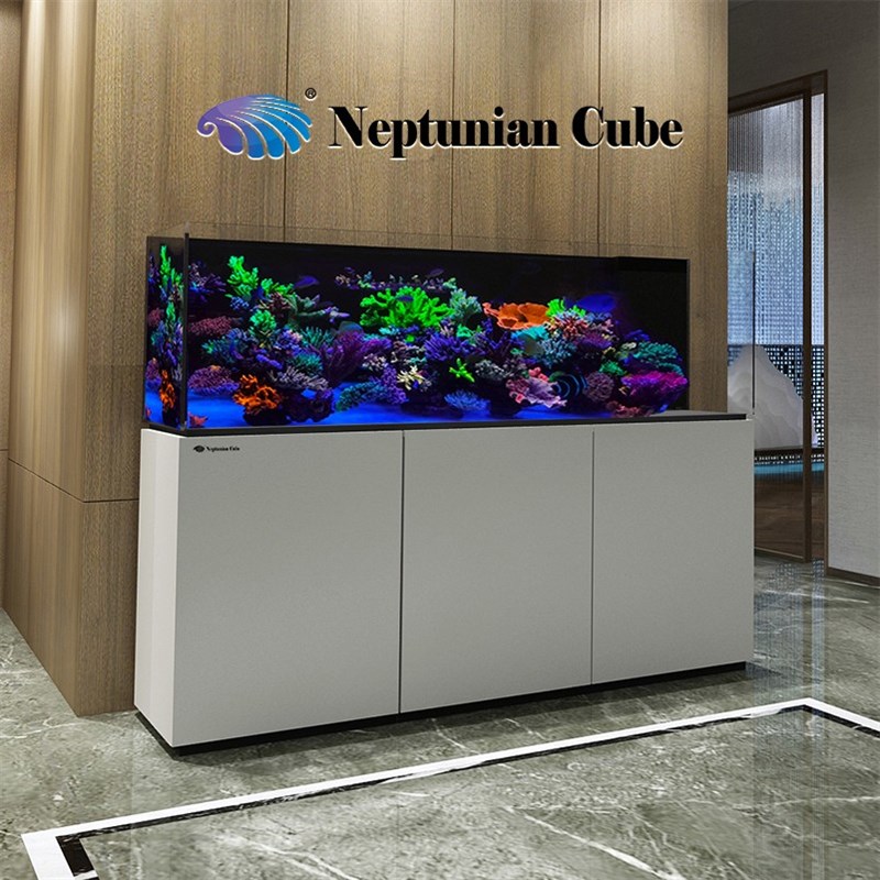 Neptunian Cube R系列 海水鱼缸 珊瑚缸 超白缸 智能水族箱 底 - 图0