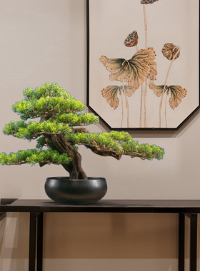 极速实木树根迎客松小盆景摆件新中式花架桌面展示柜会议室禅意装