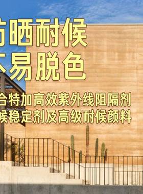 新款夯土漆民宿外墙涂料肌理复古墙面漆室内泥巴艺术漆