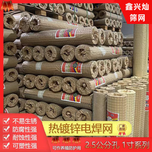 现货热镀锌铁丝网围栏养殖网电焊钢丝网阳台防护栏防鼠网片网格 - 图0