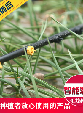 16 20 25 32锁母拉环内插直接三通 弯头 滴灌管直通接头pe管内插