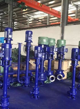 YW液下污水提升水泵水处理泥浆铸铁单管双管灌溉排洪循环电动电机