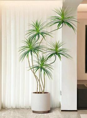 森泰仿真龙血树 客厅玄关装饰 落地摆件 多种高度盆器可选 北欧风