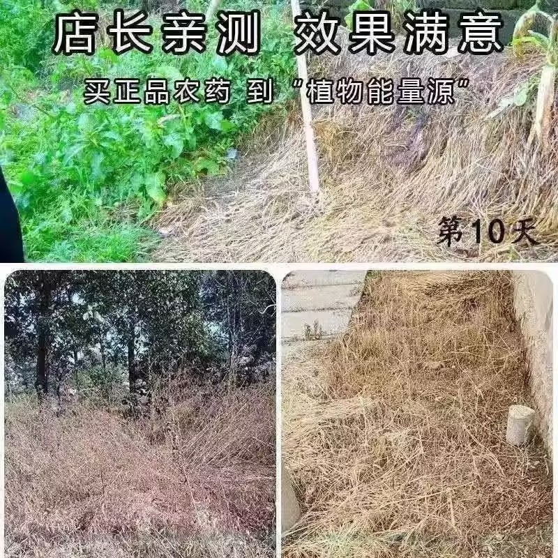 lrx正品精草铵膦铵盐强力除草烂根剂果园林茶园除各类杂草-2v-lhd-图0