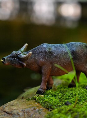 仿真小牛花园盆景假山造景摆件微景观动物水牛客厅桌面小动物装饰