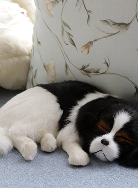 仿真狗动物模型哈士奇拉布拉多睡狗狼狗家居桌面车载摄影道具