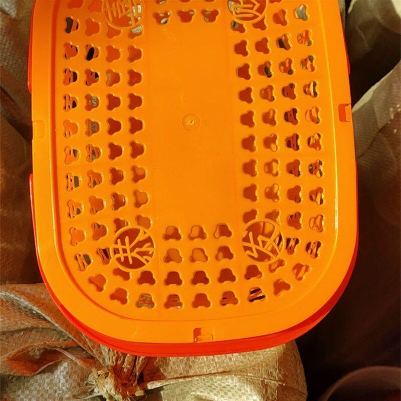 6-8斤新料砂糖橘桂圆鸡蛋送礼盒筐枇杷塑料篮子Z采摘手提篮,淘宝优惠券,粉丝福利购,淘宝优惠卷