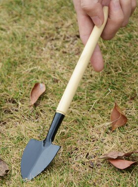居家多肉植物园艺松土工具套装盆栽种花养花铲子花锹耙子三件套