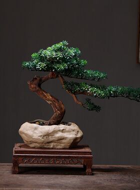 仿真植物实木摆件黑松盆景绿植迎客松罗汉松办公室玄关五针松客厅