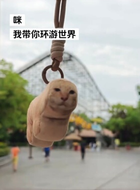 圆头耄耋猫狗拍照打卡挂件
