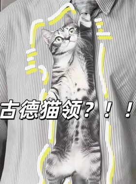 -古德猫领-猫咪领带小众设计穿搭可爱仿真橘猫搞笑趣味拍照道具