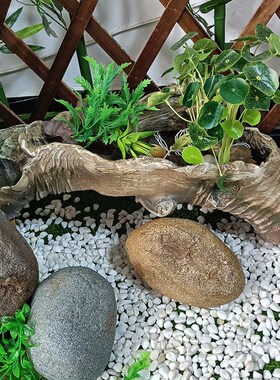 仿枯木树根微景观造景木头摆件插A花装饰多肉花盆多层盆景老桩花