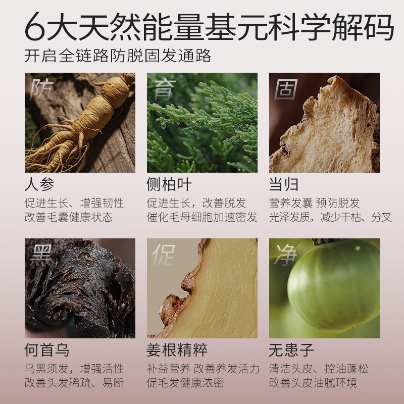 【三瓶装】达尼丝防脱洗发乳侧柏叶洗头固发强韧净油丰盈蓬松柔顺
