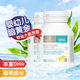 澳洲bioisland婴幼儿童宝宝DHA海藻油助眼脑成长发育软胶囊60粒*2