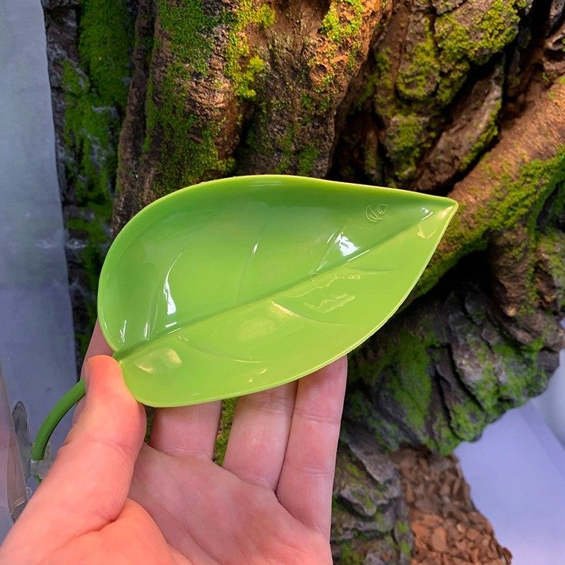 悬浮窝爬宠攀爬叶子树栖睫角守宫树蛙仿真躲避饲养缸造景吸盘假植,淘宝优惠券,粉丝福利购,淘宝优惠卷