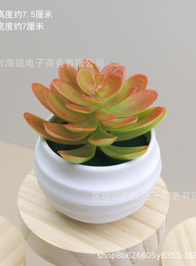 仿真多肉绿植物装饰品室内办公室小摆件绿植微景观组合盆栽摆设