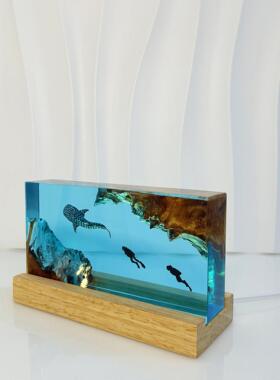 海底世界情景观溶洞鲸鲨鱼侣潜小水摆员夜DUI灯床头灯氛围灯件礼