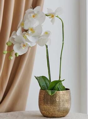 进口北欧ins风小花盆花器摆瓶手锤纹铝制金工属件花客厅DS1415落