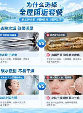 全屋大流量阻垢净化净水过滤器