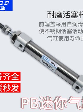 PB小型不锈钢迷你气缸PB10/12/16-10-50-70-100-150-200平尾系列