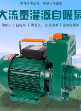 广东凌霄1.5ZDK-20T大流量1.5寸2寸口径自吸泵农用灌溉抽水泵水机