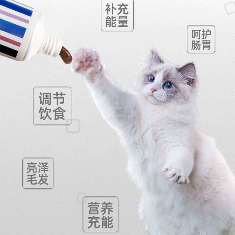 速发零食励养膏小型犬训练奖营老美柯基幼犬补钙博年犬品,淘宝优惠券,粉丝福利购,淘宝优惠卷