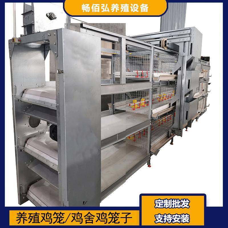 全自动肉鸡笼框架笼鸡舍养鸡场镀锌工艺自动除粪鸡笼可供外贸,淘宝优惠券,粉丝福利购,淘宝优惠卷