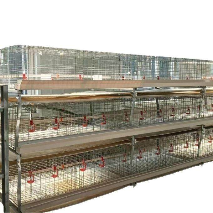 源头厂家供应全自动肉鸡笼镀锌肉鸡笼养殖设备自动清粪,淘宝优惠券,粉丝福利购,淘宝优惠卷