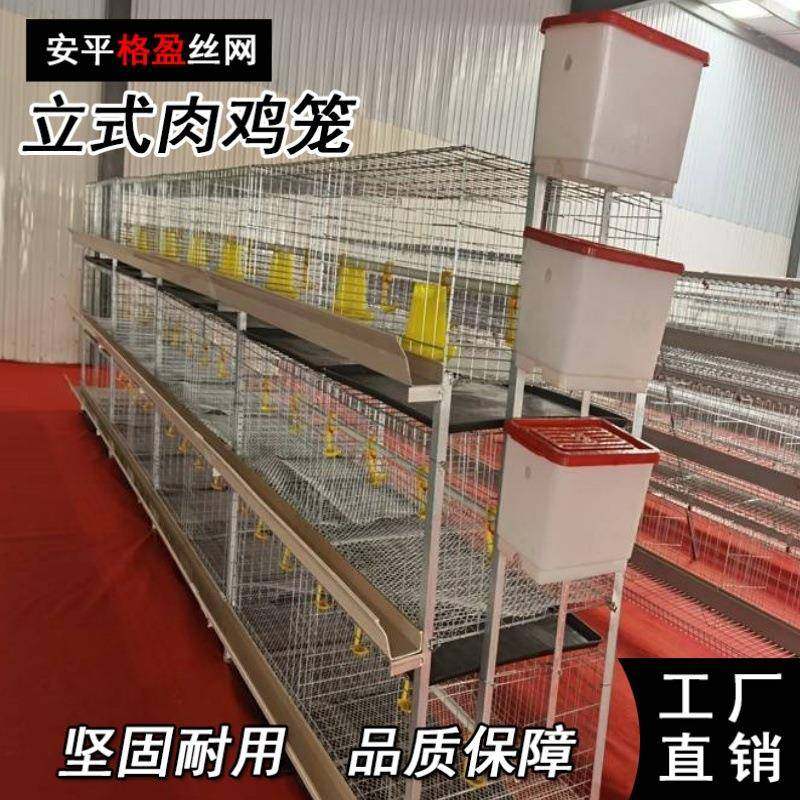 源头厂家供应全自动肉鸡笼镀锌肉鸡笼养殖设备自动清粪,淘宝优惠券,粉丝福利购,淘宝优惠卷