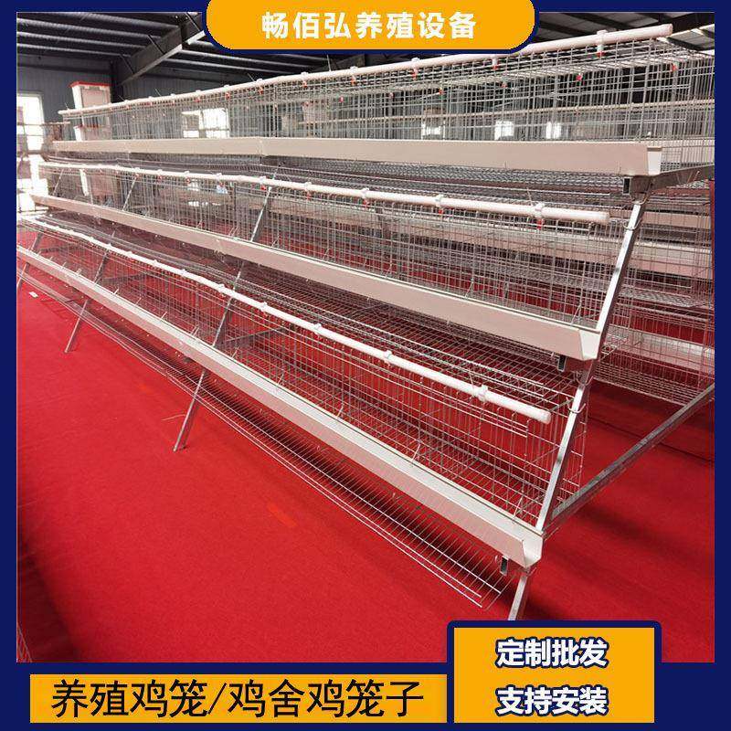 3层5门阶梯蛋鸡笼养殖厂工厂阶梯型A型鸡笼热镀锌可供外贸,淘宝优惠券,粉丝福利购,淘宝优惠卷