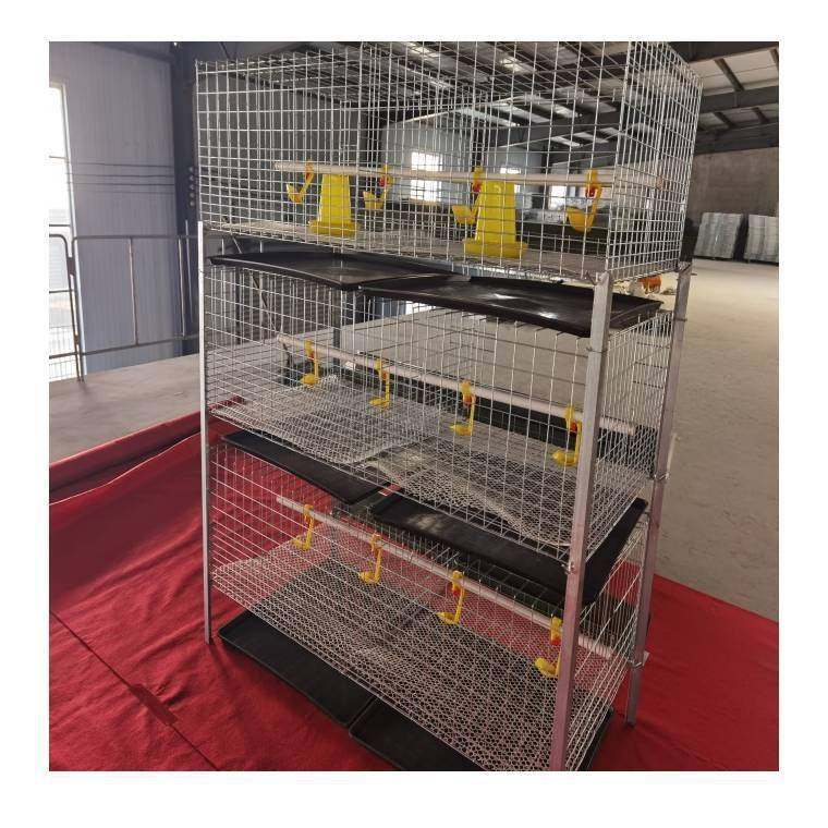 肉鸡笼镀锌防锈自动H型立式雏肉两用鸡笼农用畜牧含托粪盘塑料网,淘宝优惠券,粉丝福利购,淘宝优惠卷