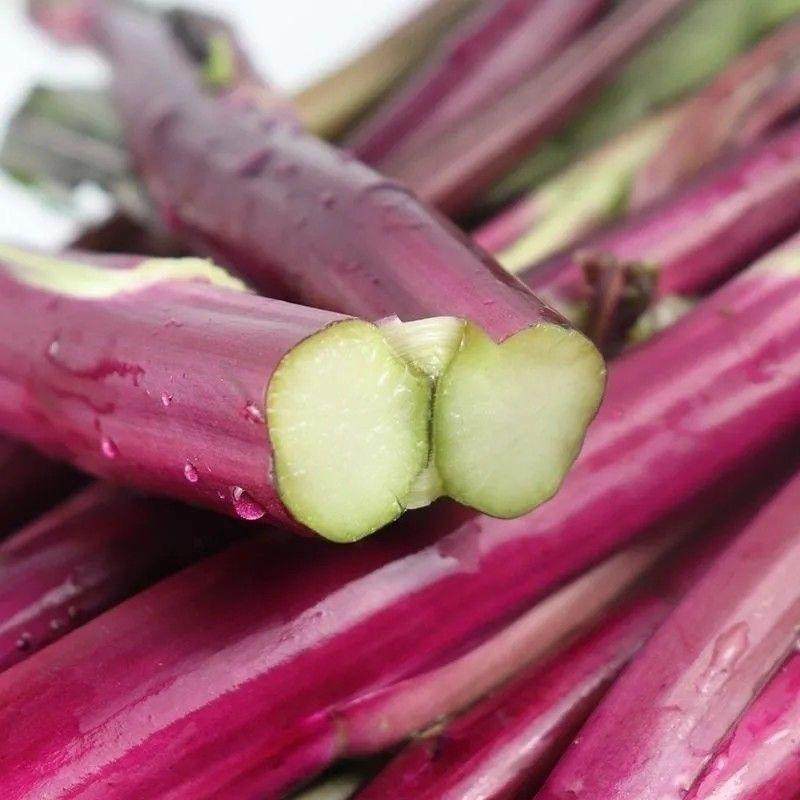 湖北新鲜红菜苔脆嫩可口菜心当季时令蔬菜露天种植纯天然洪山菜苔,淘宝优惠券,粉丝福利购,淘宝优惠卷