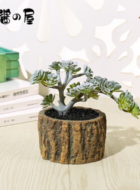 速发北厅仿真多肉植物仙人球小盆栽假花室内创意装饰绿植物草摆件