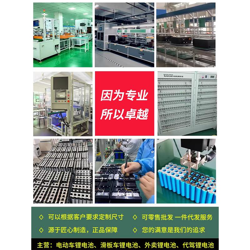 折叠电动车锂电池48V30A代驾外卖35A40A大容量通用新日自行车电瓶 - 图2