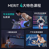 Merrick home spinning bike s3
