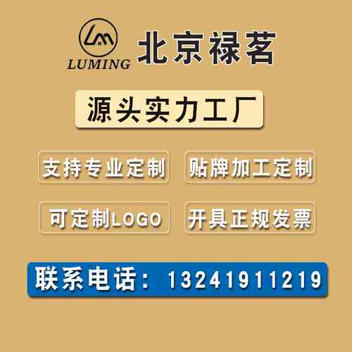 【折扣】1件起批12平充气帐篷 一室一厅户外野露营帐篷6-8人过夜 - 图0