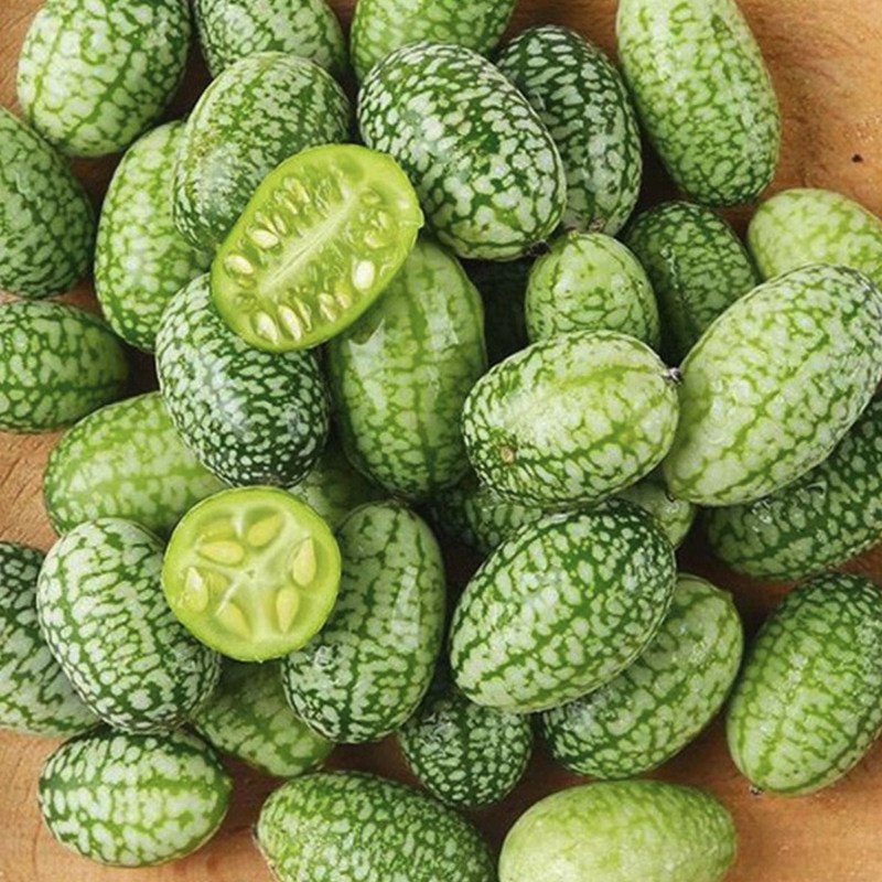 网红拇指西瓜 佩普基诺你小西瓜 新鲜水果不常见 清甜爆汁,淘宝优惠券,粉丝福利购,淘宝优惠卷